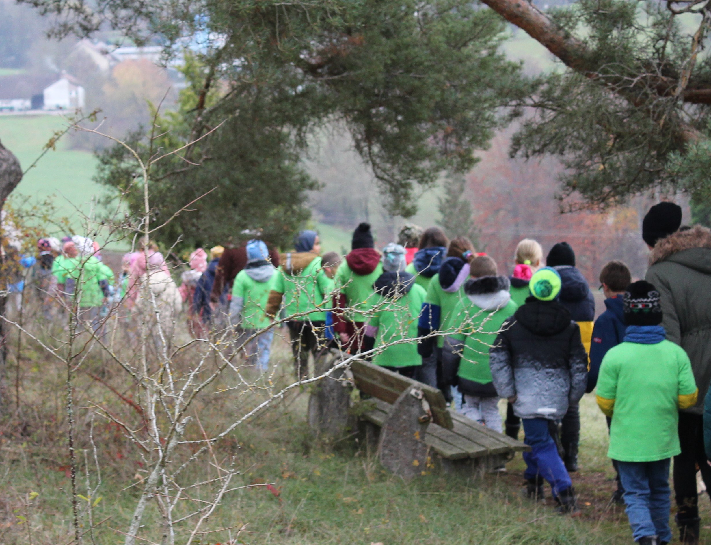 Die Schulkinder gehen alle hintereinander den Berg hinunter Richtung Schule.