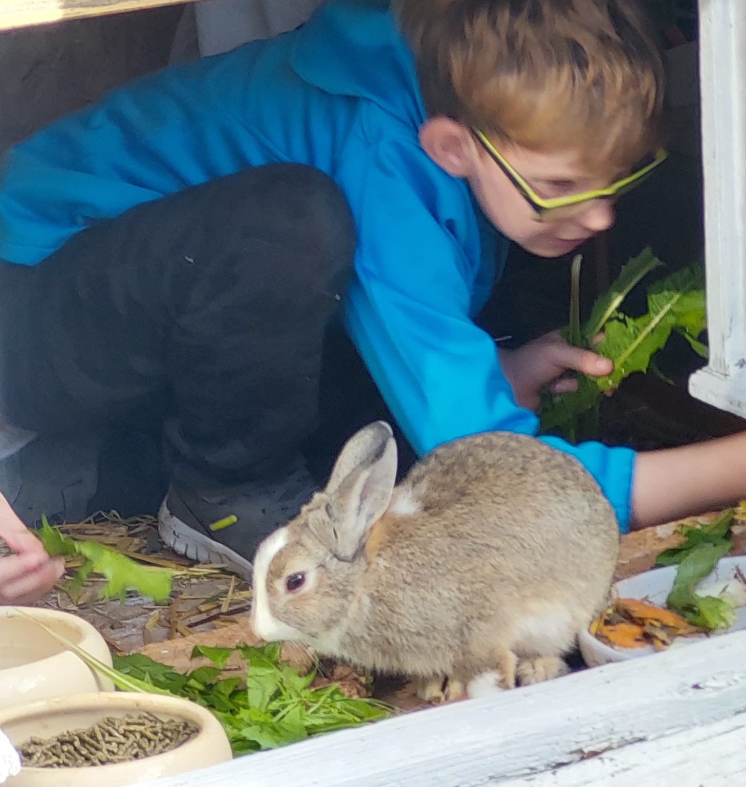 Ein Junge hockt neben einem Kaninchen.