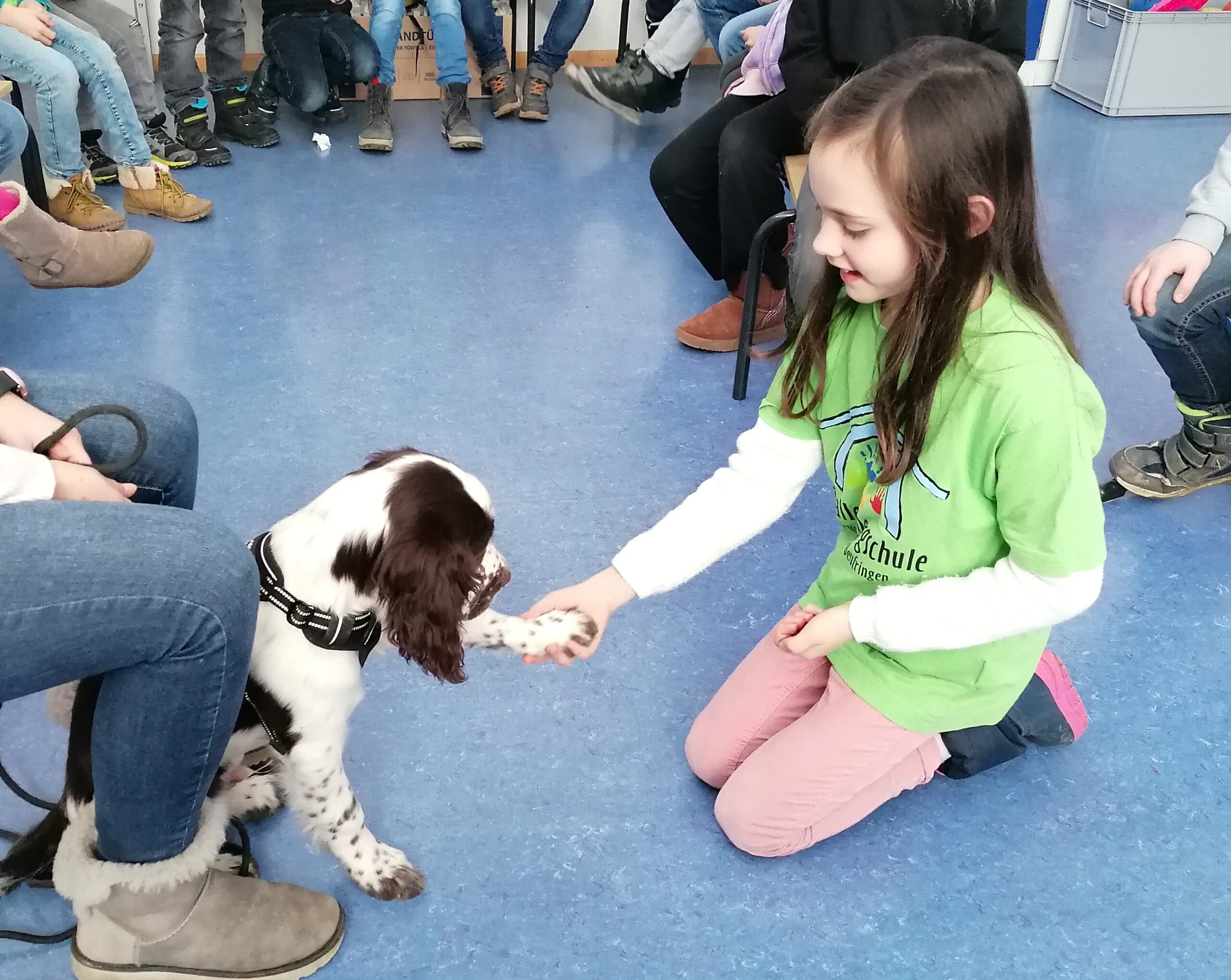 Schulhund Kalle trainiert Pfötchen geben mit einem Mädchen.