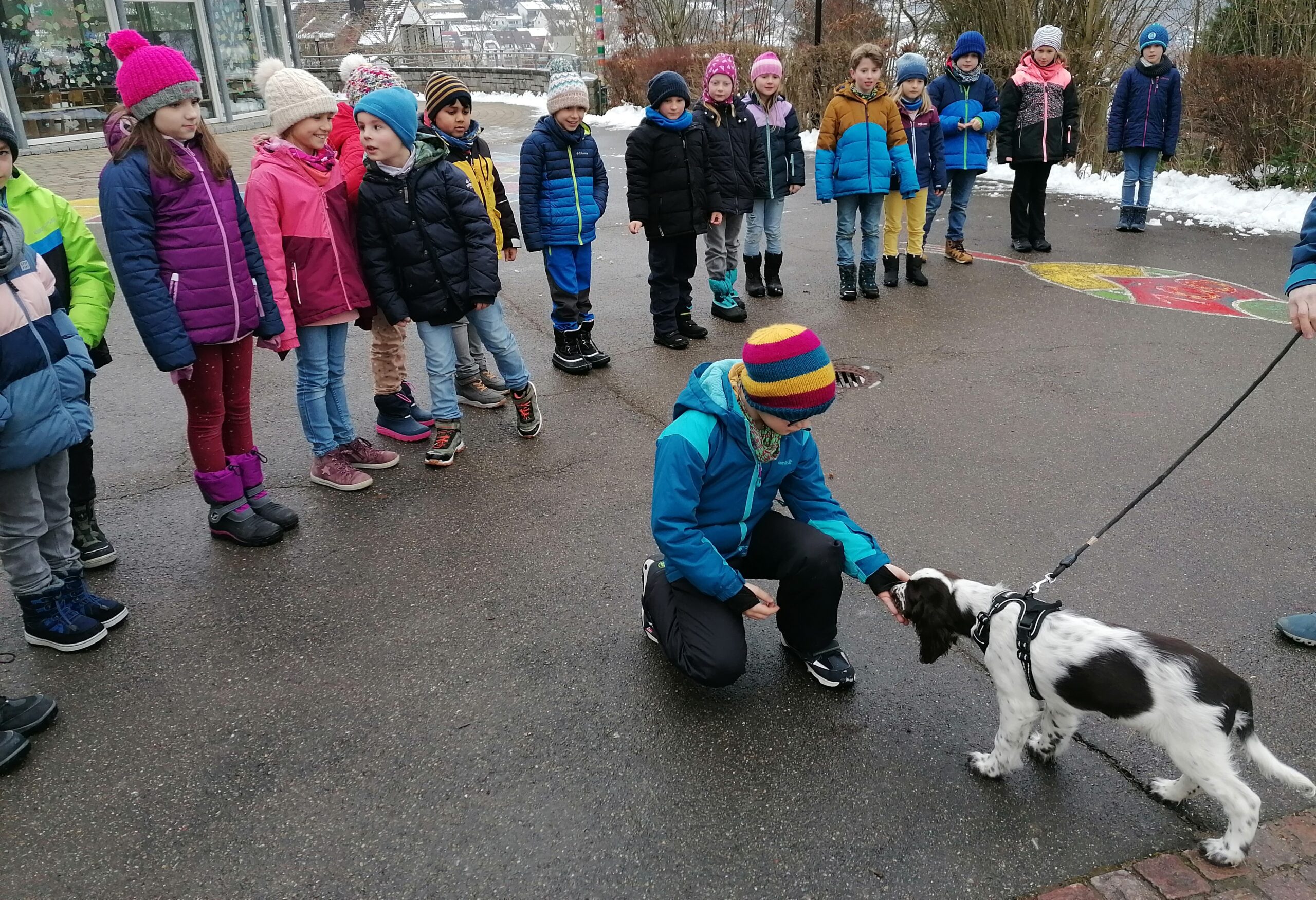 Die Kinder dürfen einzeln den Schulhund Kalle kennen lernen.