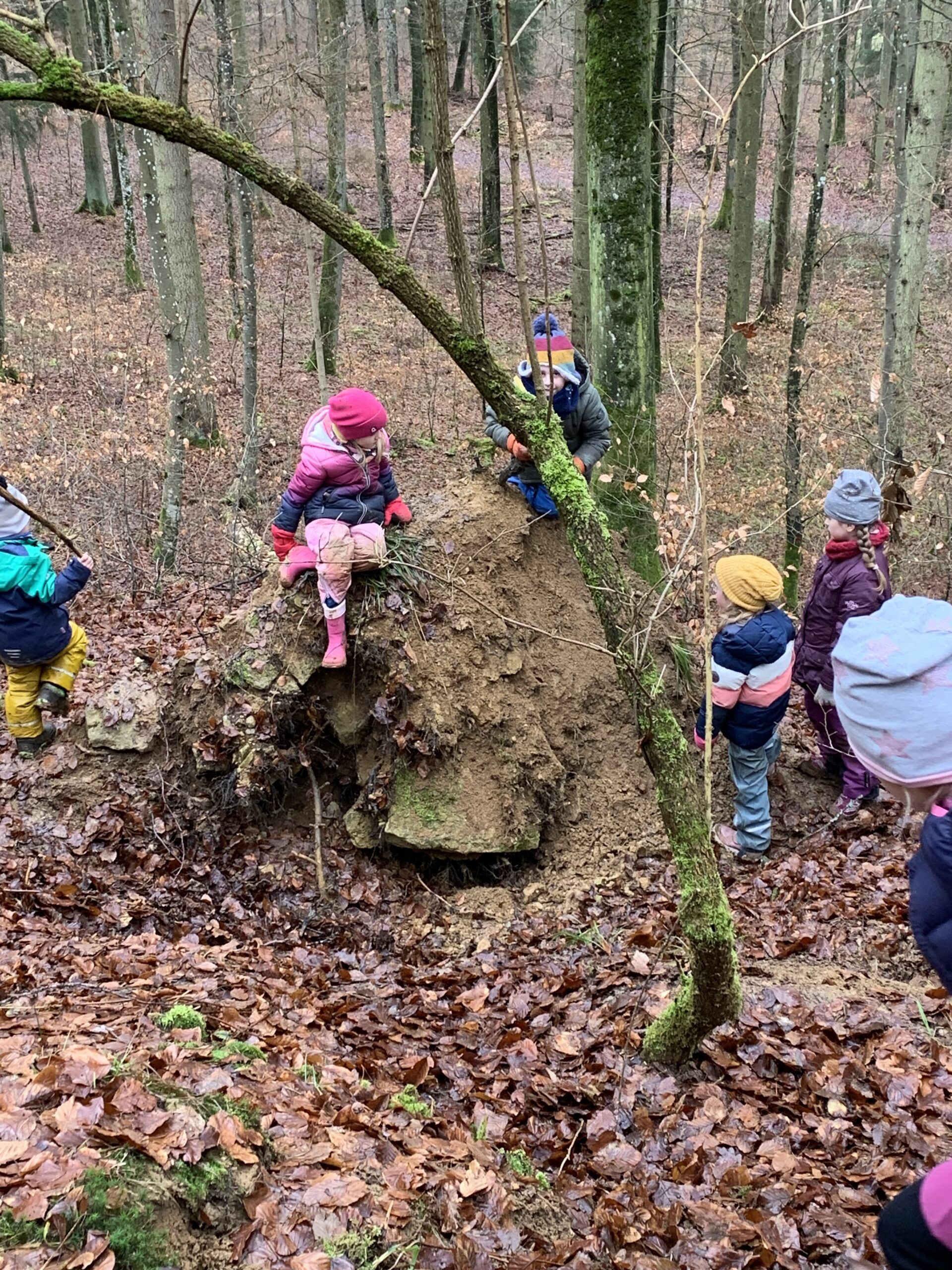 Unser Besuch beim Waldkindergarten