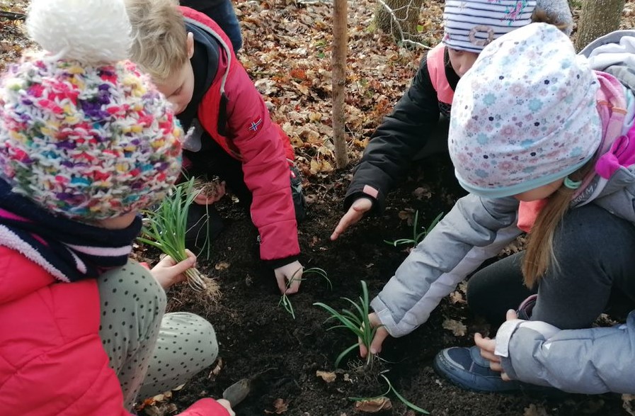 Vier Kinder hocken auf dem Boden und graben Pflanzen ein.
