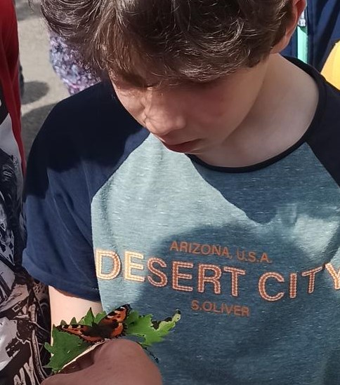 Ein Kind schaut sich ganz nah den Schmetterling auf der Hand an.