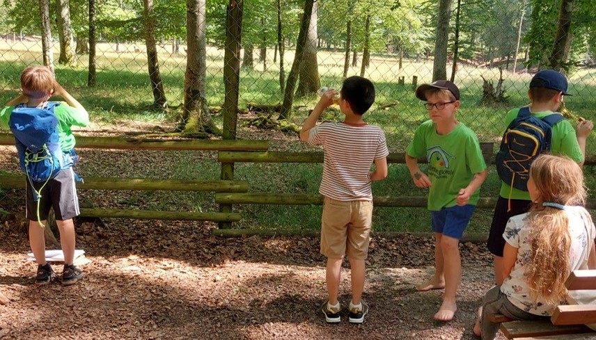 Zwei Kinder stehen am Zaun im Schönbuchpark und schauen nach Tieren.