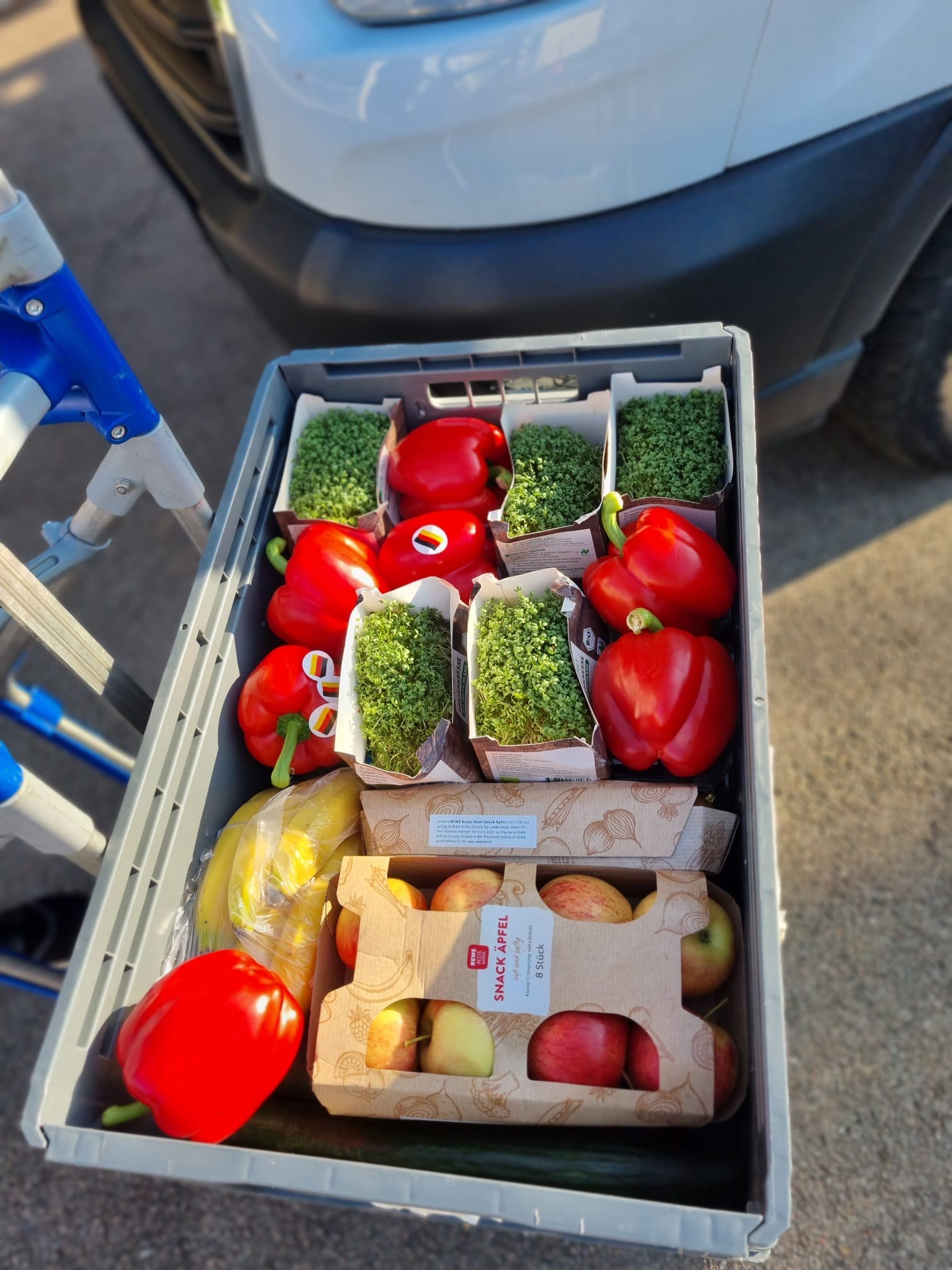Blick in eine Box mit frischem Gemüse