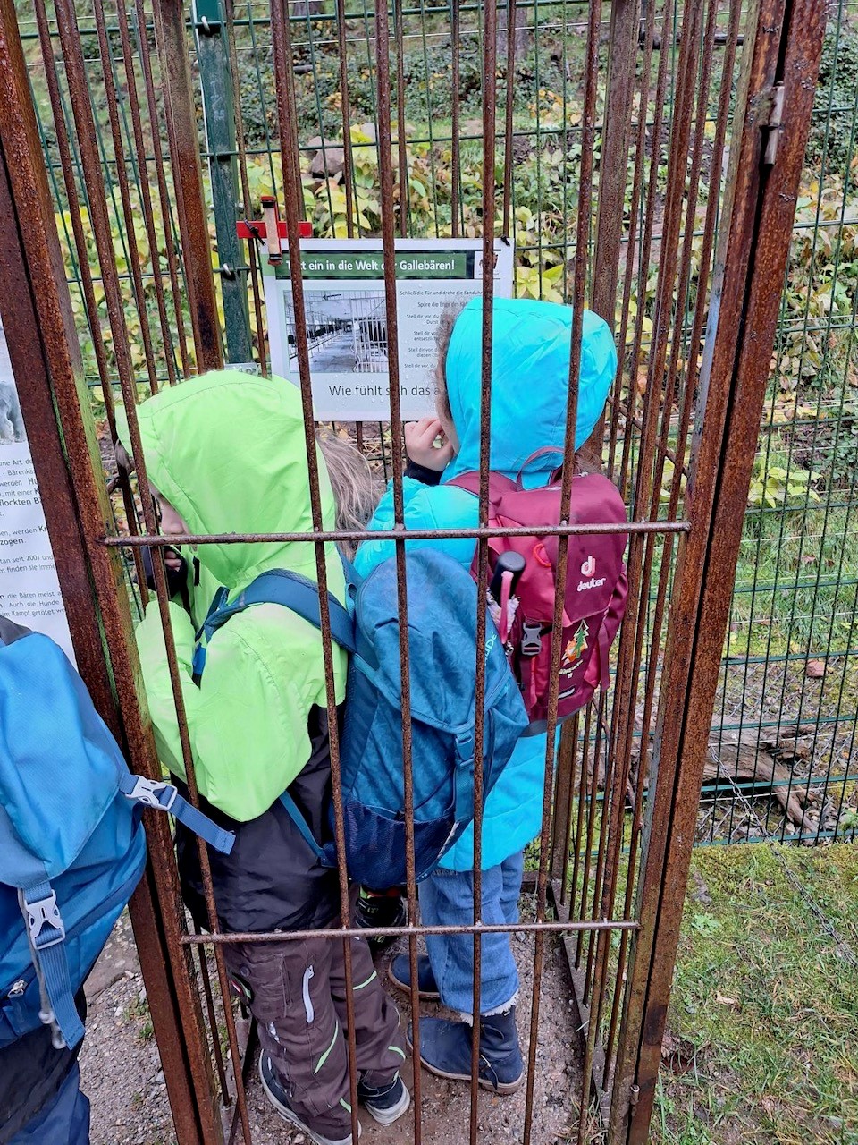 Kinder in einem Käfig, um zu spüren, wie es den Tieren geht.