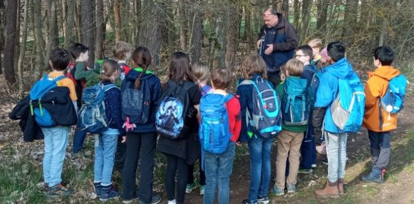 Eine Schulklasse ist bei einem Lerngang im Wald.