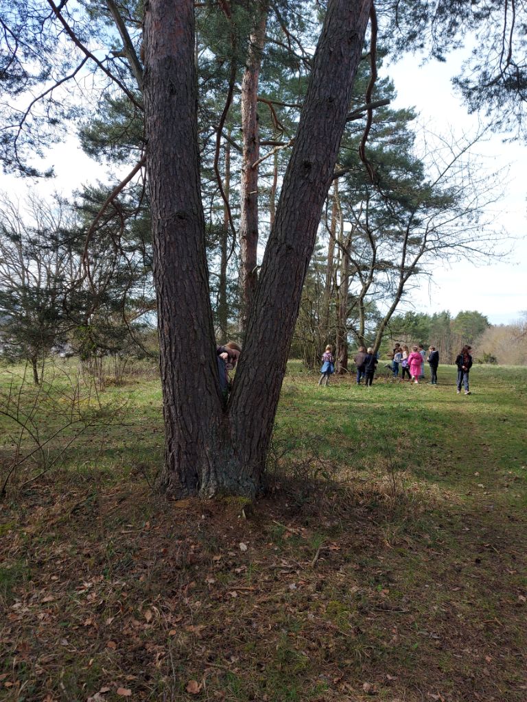 Eine Schulklasse sucht Osternester in einem Naturgrundstück bei der Schule.