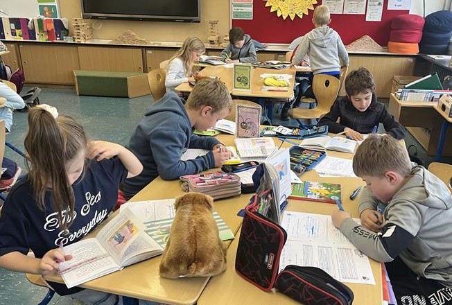 Kinder sitzen in einem Klassenzimmer an ihren Tischen und lesen.