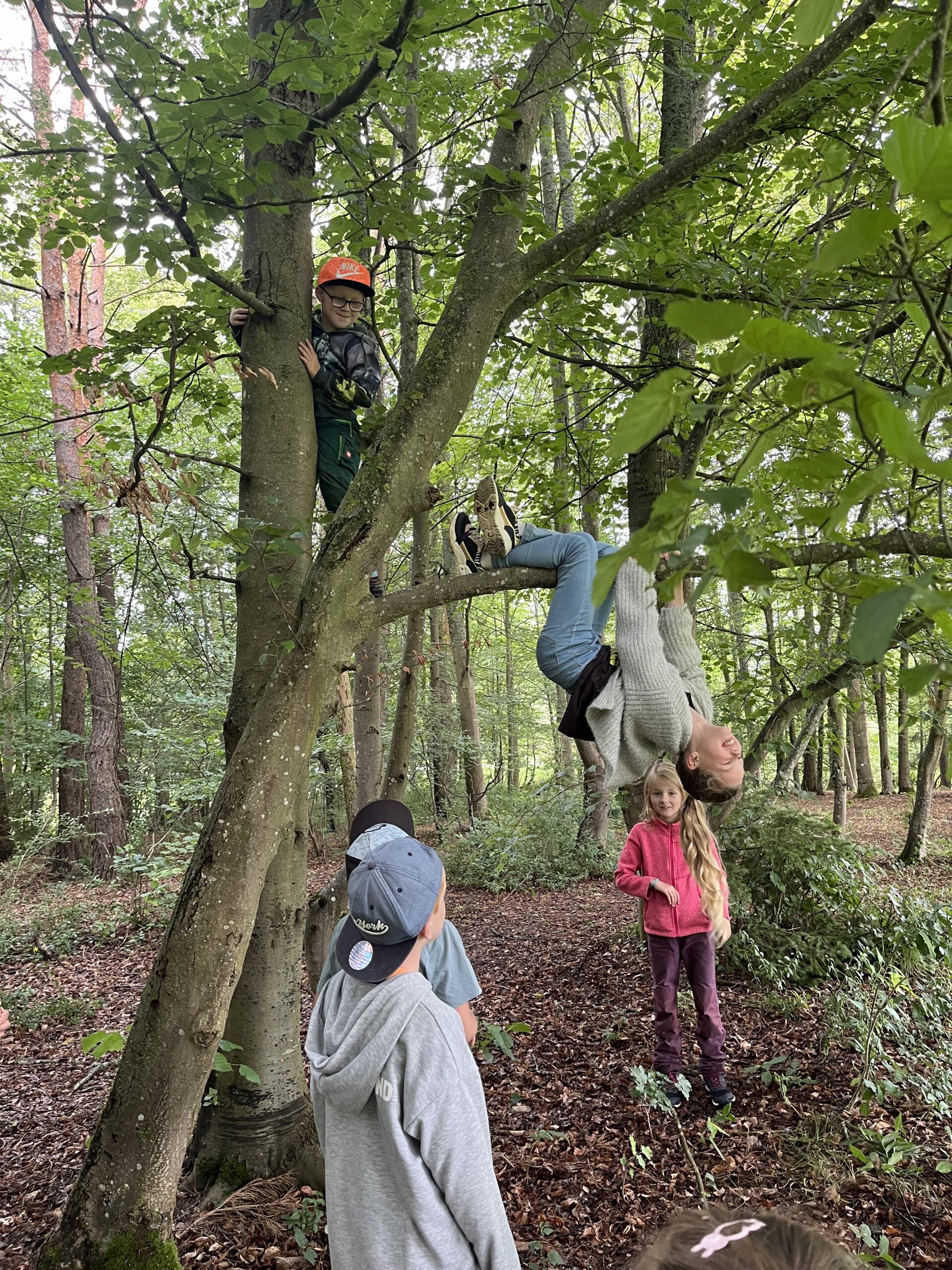 Kinder klettern auf einem Baum.