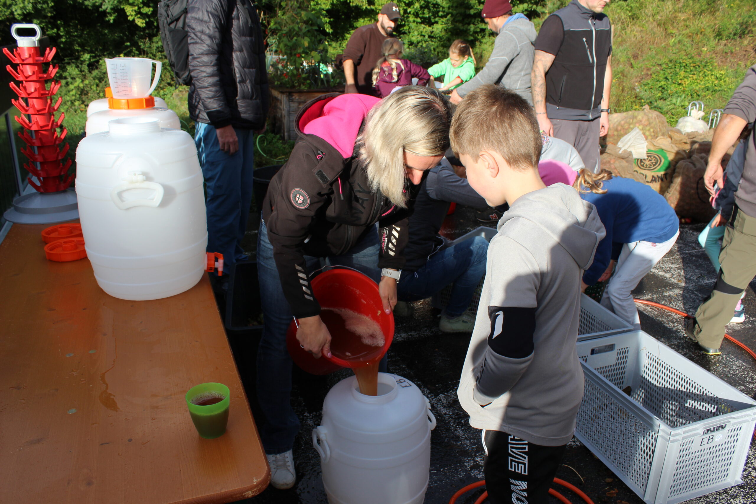 Der gepresste Apfelsaft wird abgefüllt in Kanister.