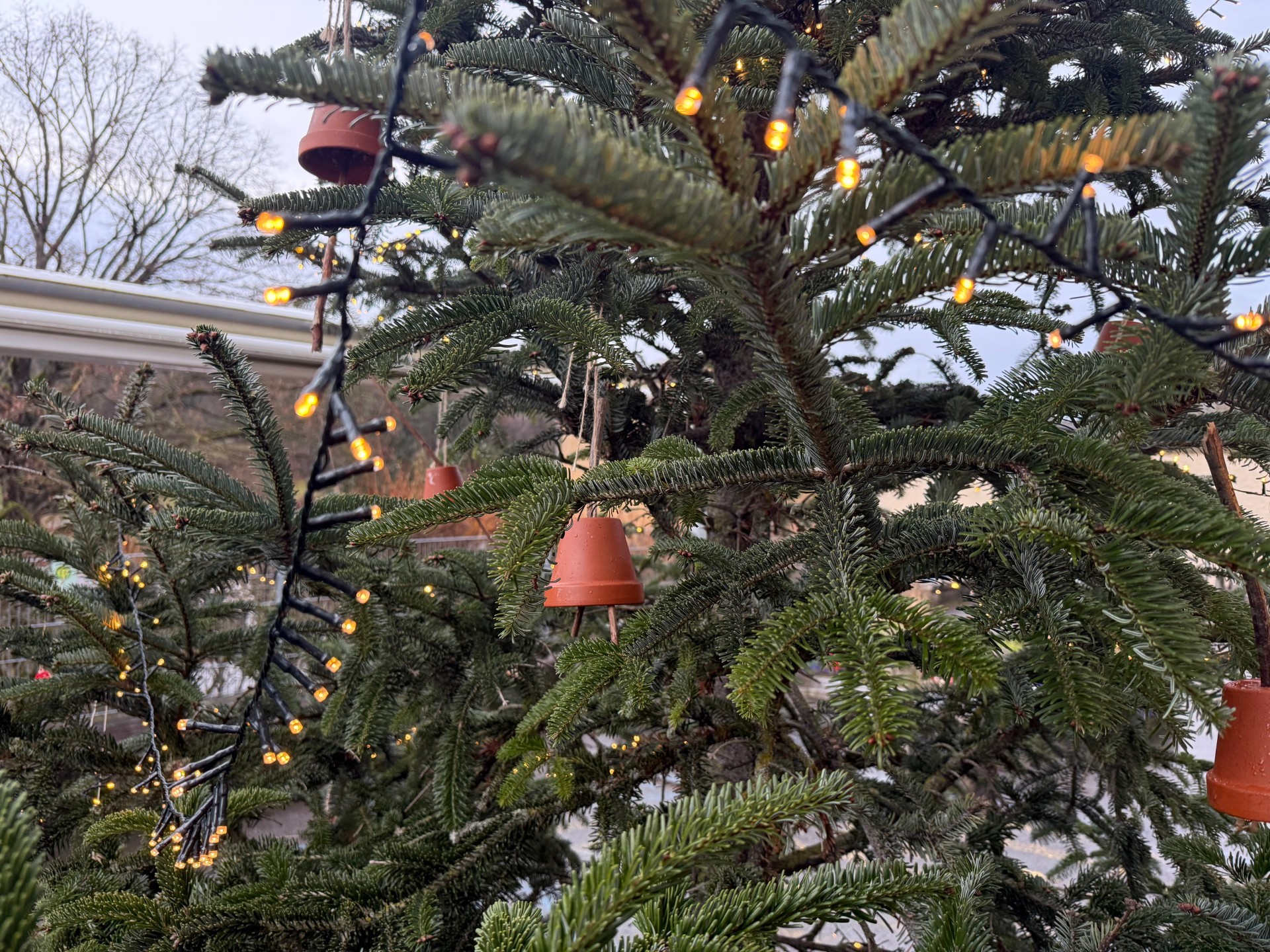 Unser Erdschützerweihnachtsbaum