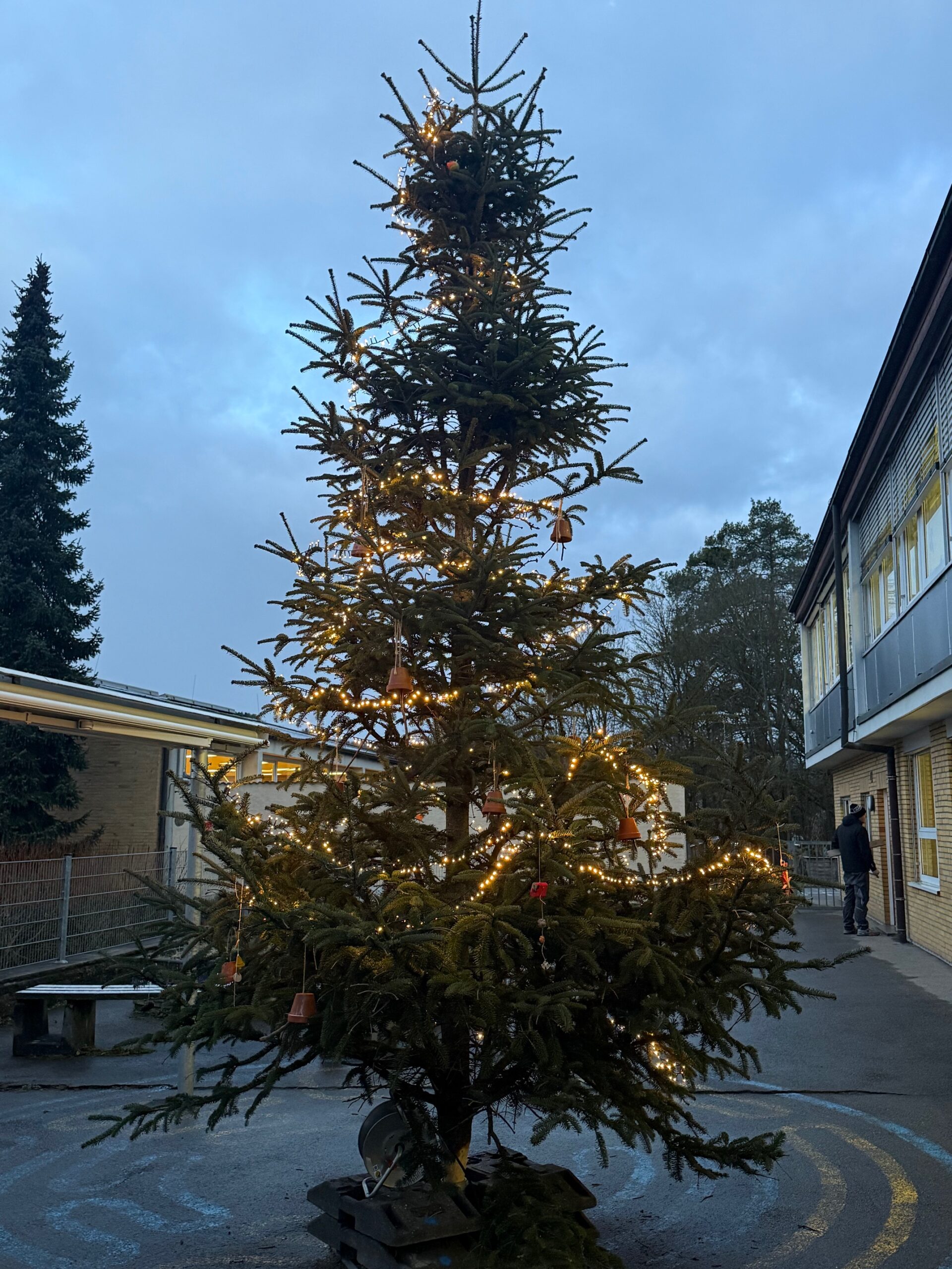 Erdschützerweihnachtsbaum