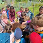 Die Erdschützer waren bei einer Biberwanderung