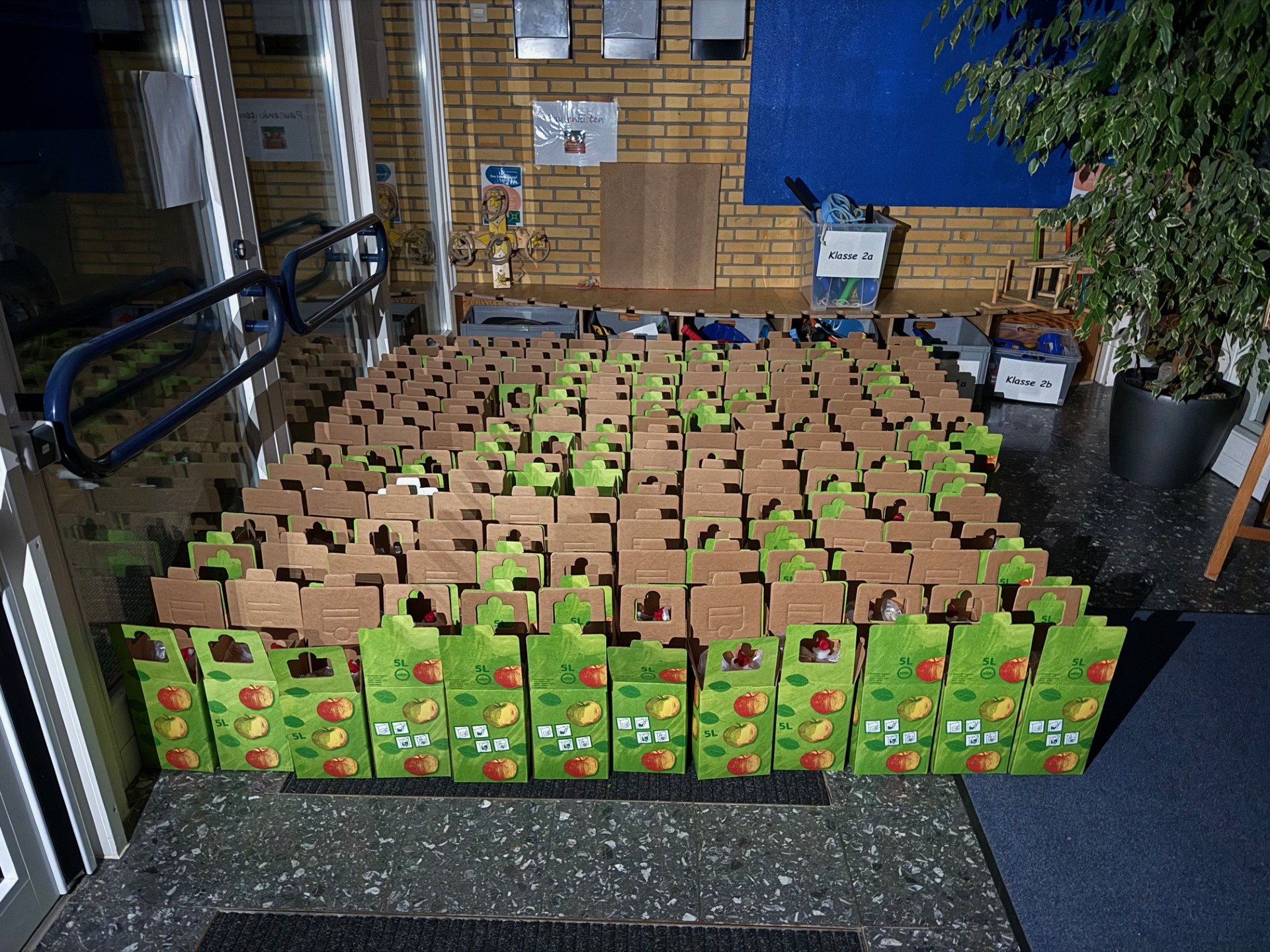 Ein Bild der fertigen 172 Apfelsaft Bag in Boxe.