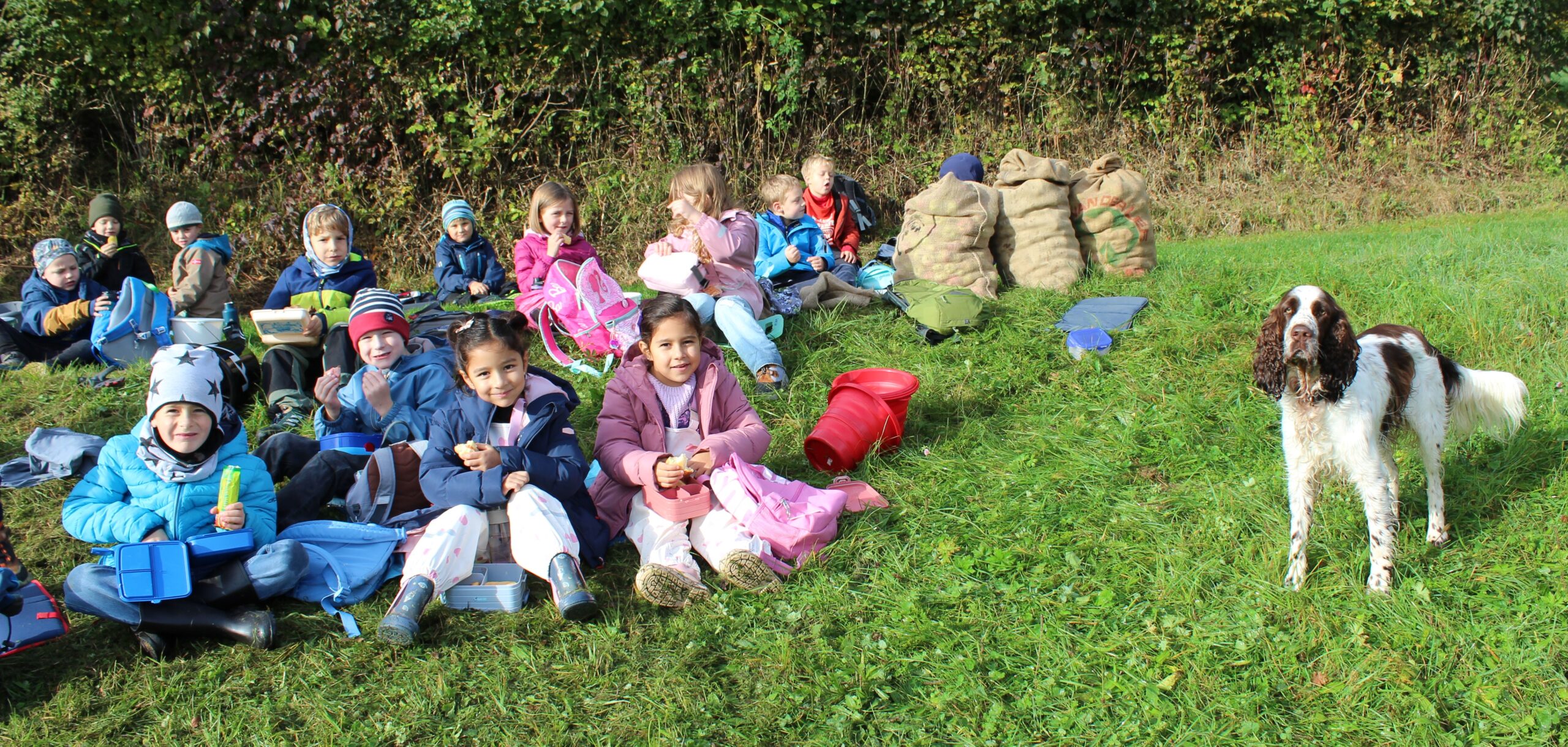 Kinder vespern auf einer Wiese und daneben stehen drei gefüllte Säcke mit Äpfeln und der Schulhund ist auch auf dem Bild.