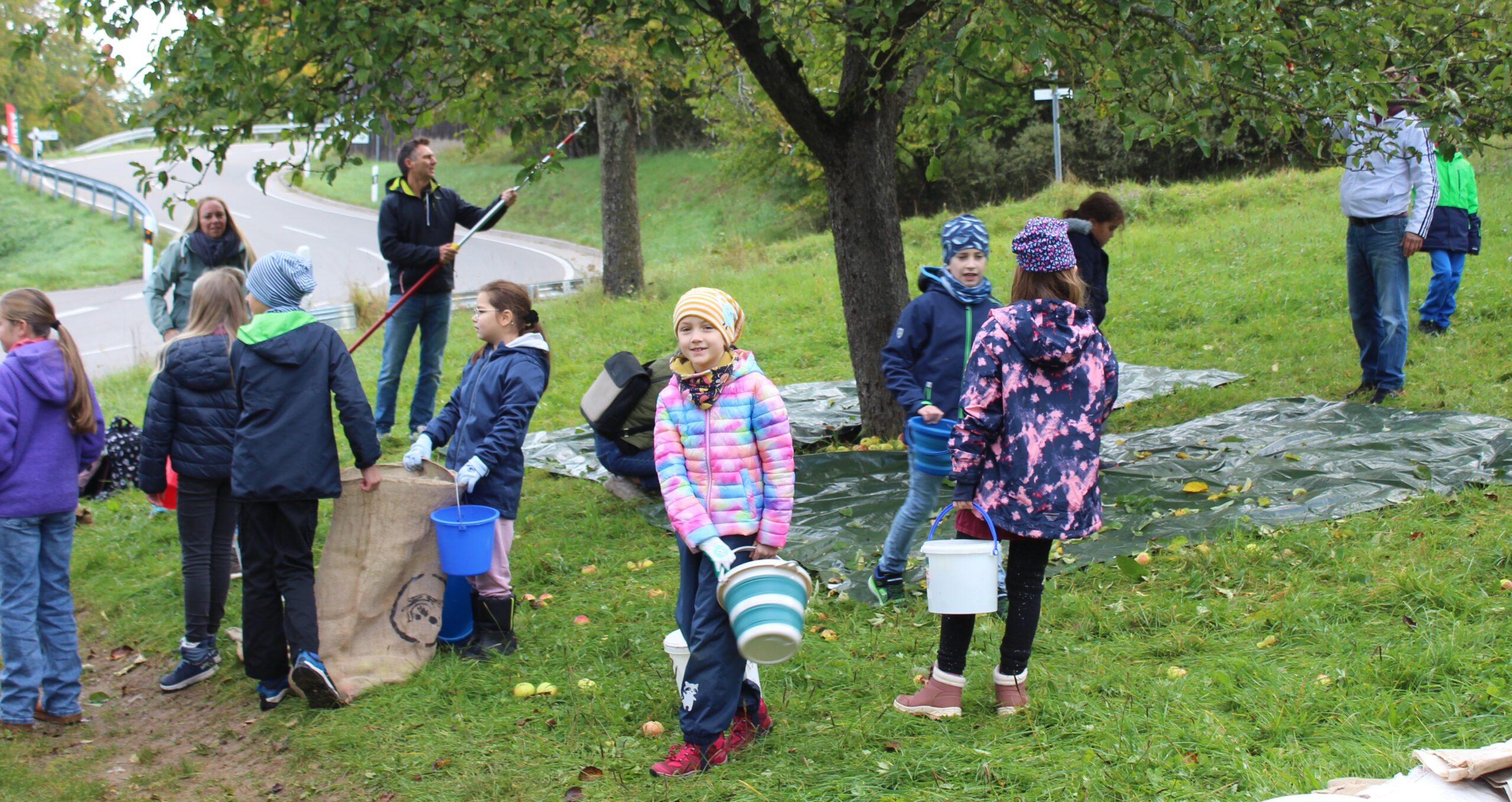 Kinder sammeln auf einer Wiese Äpfel ein.