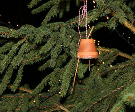 Unser Erdschützer-Weihnachtsbaum