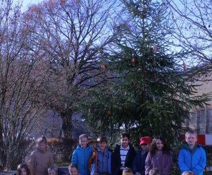 Unser Erdschützer-Weihnachtsbaum