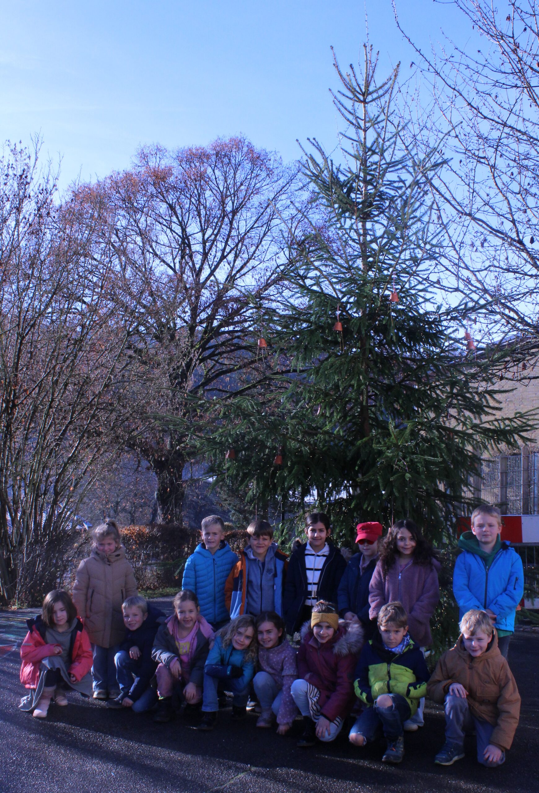 Eine erste Klasse steht vor unserem Weihnachtsbaum auf dem Pausenhof.