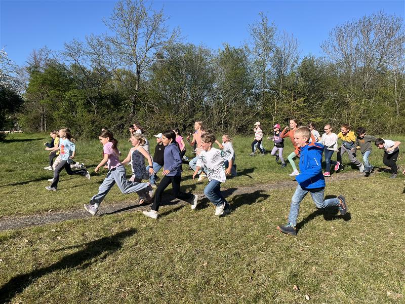 Kinder zweier Schulklassen springen über den Schallenberg.